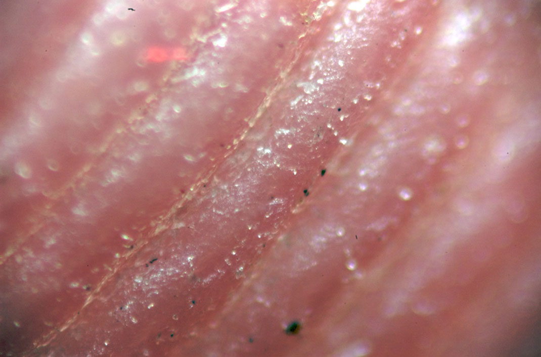 01-empreintesale-samuel