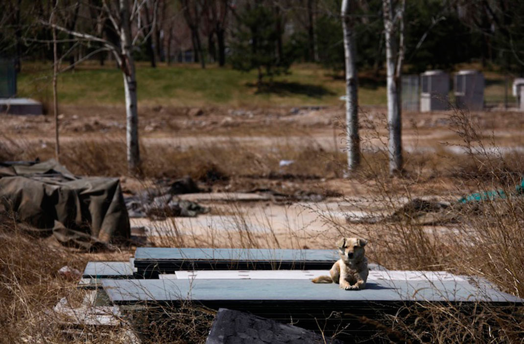 02-siteolympiqueabandon-reutersdavidgray