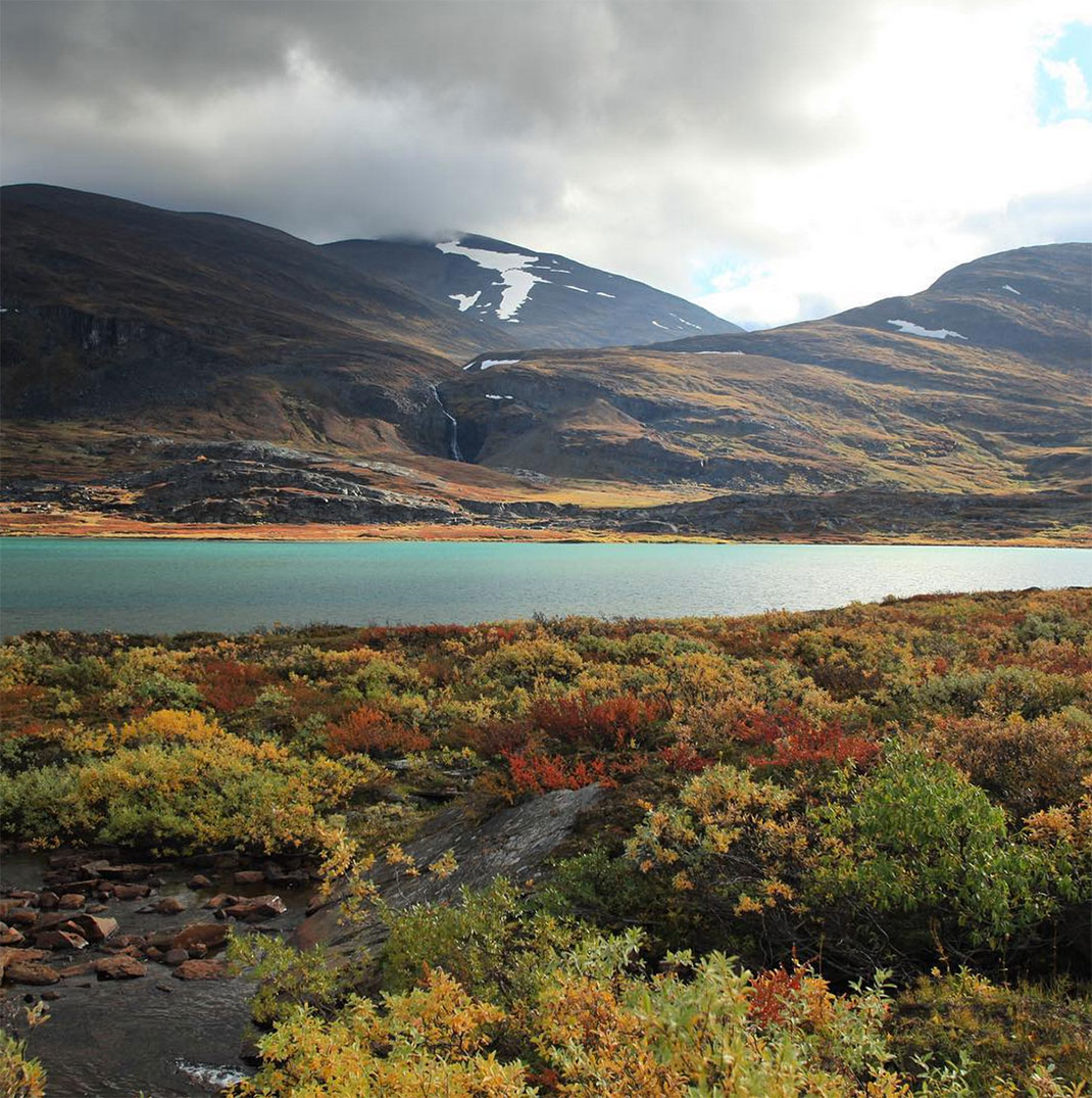 06-laponie-octavecowbell