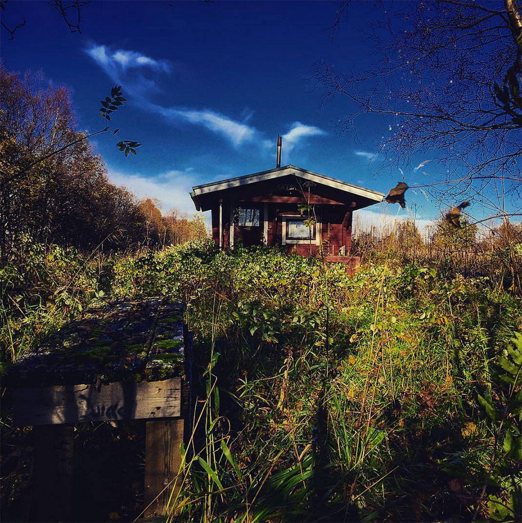 09-laponie-_chat_rlotte_