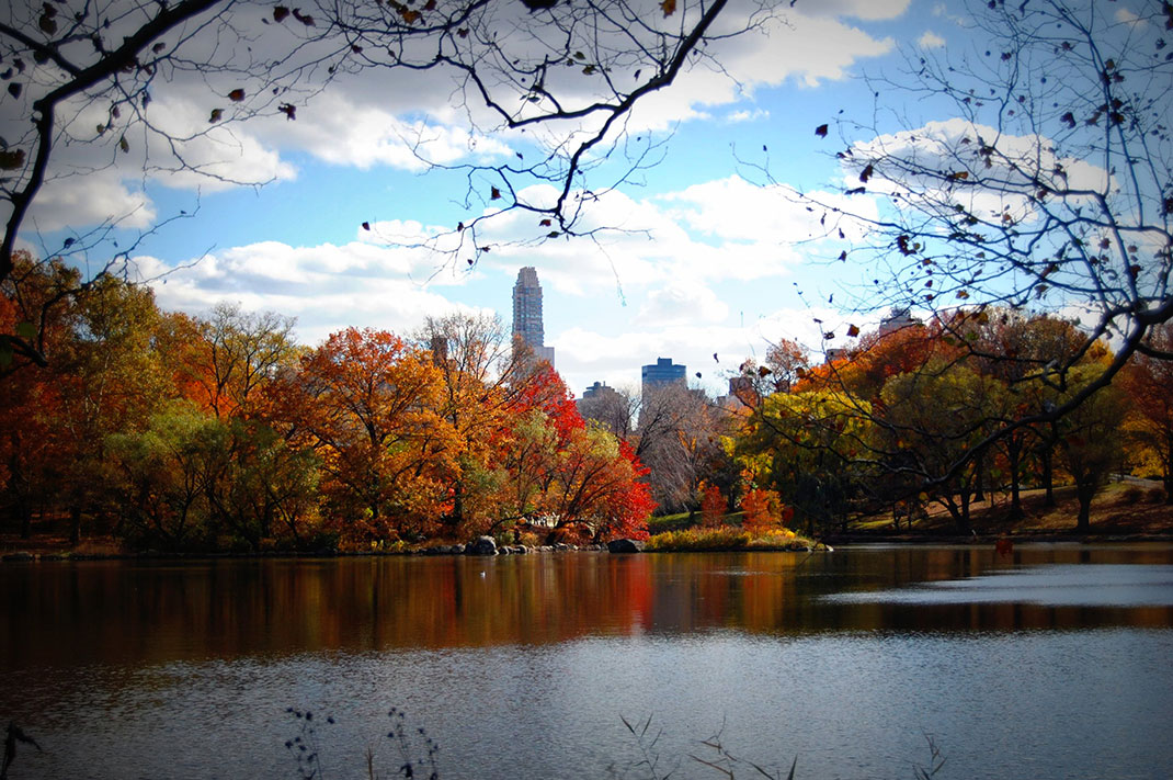 1-automne-new-york