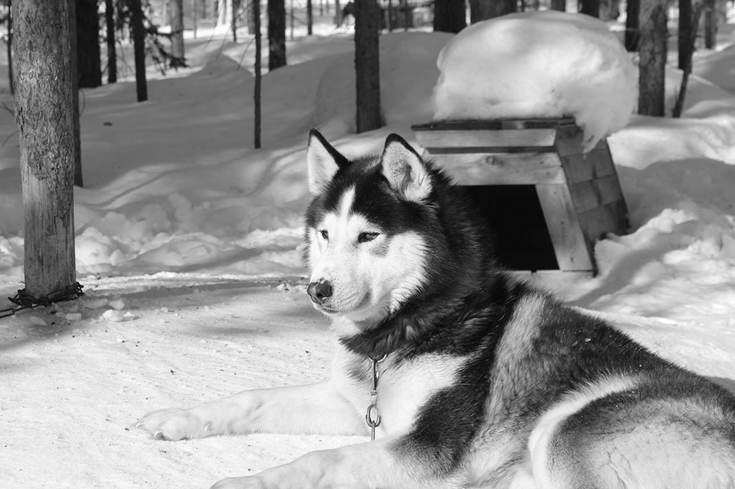 16-laponie-romaincloff