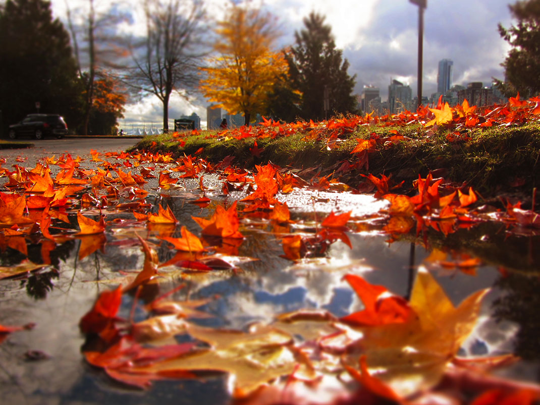 18-automne-vancouver