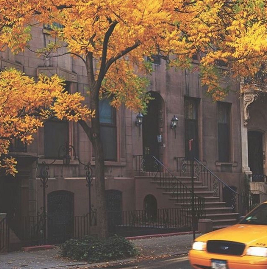 2-automne-new-york