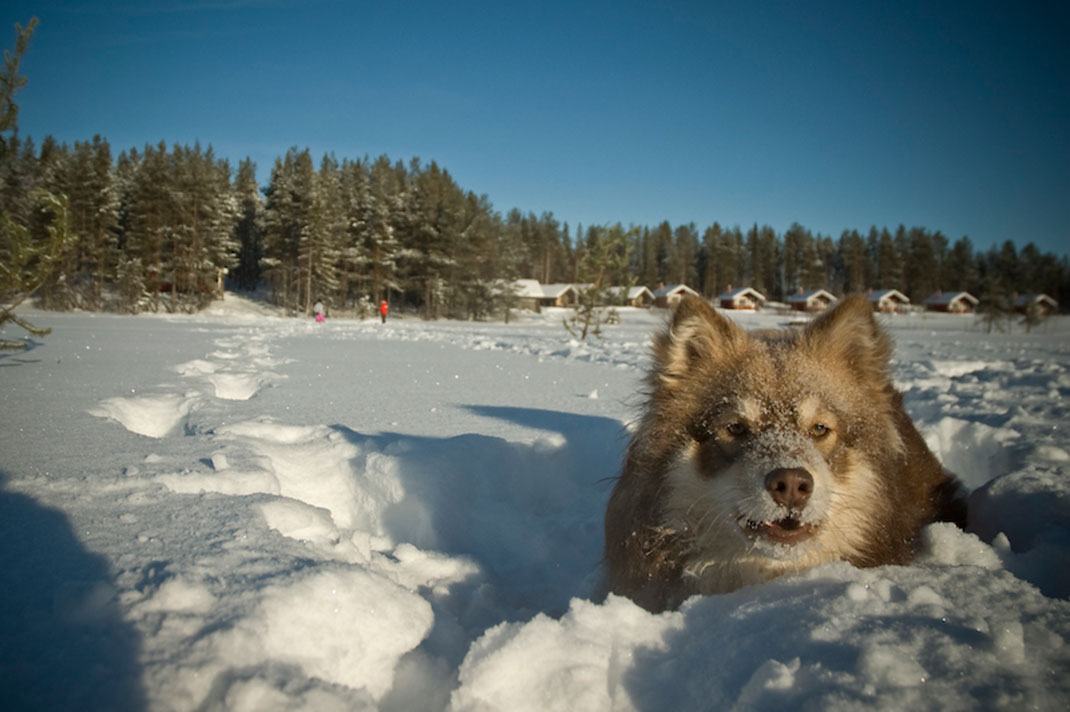22-laponie-rémifavretto