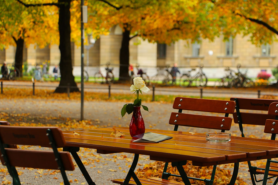 23-automne-munich
