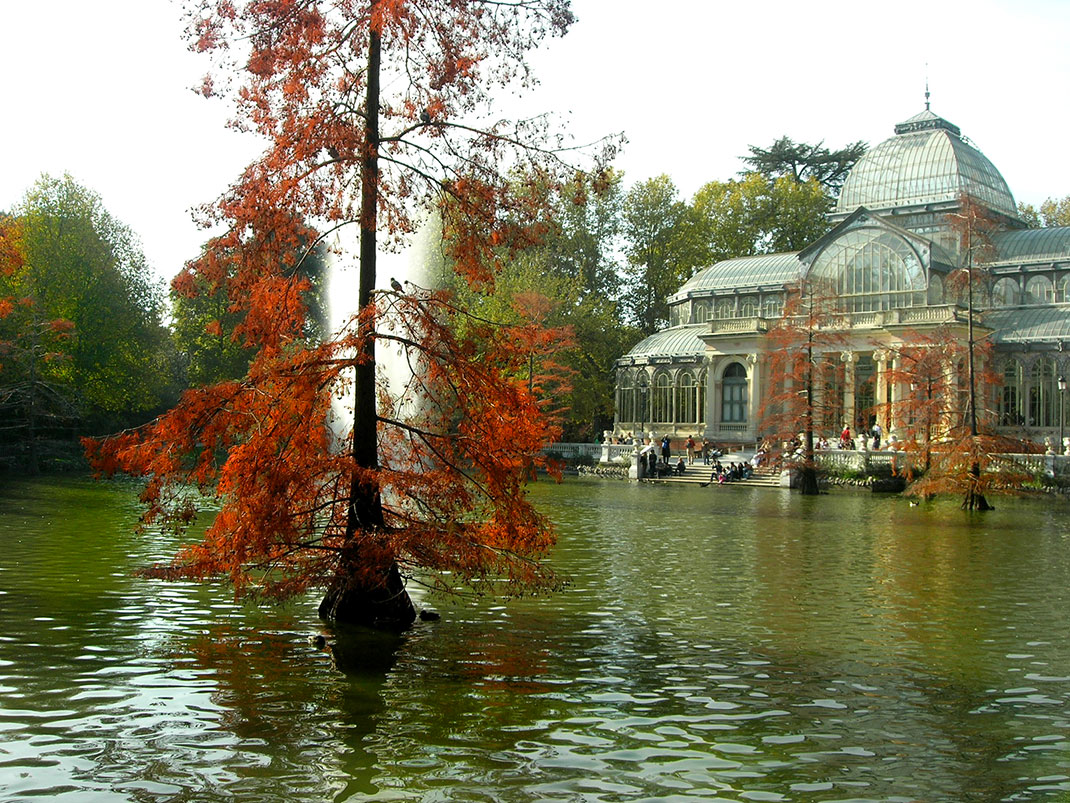 25-automne-madrid