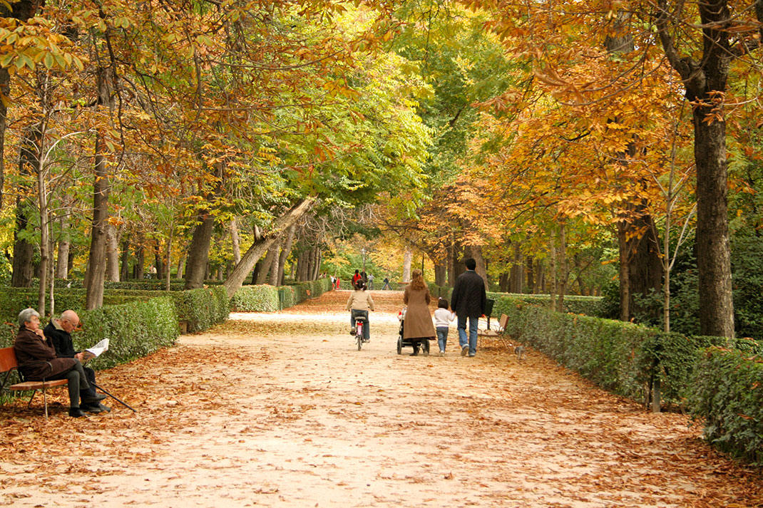26-automne-madrid