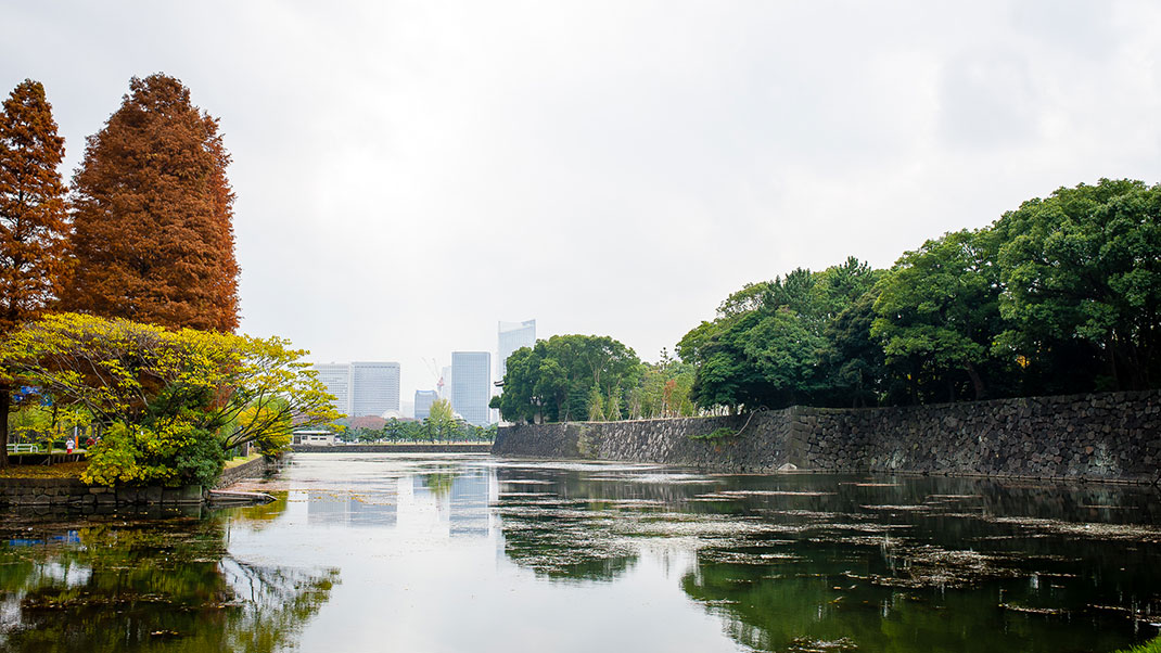 4-automne-tokyo