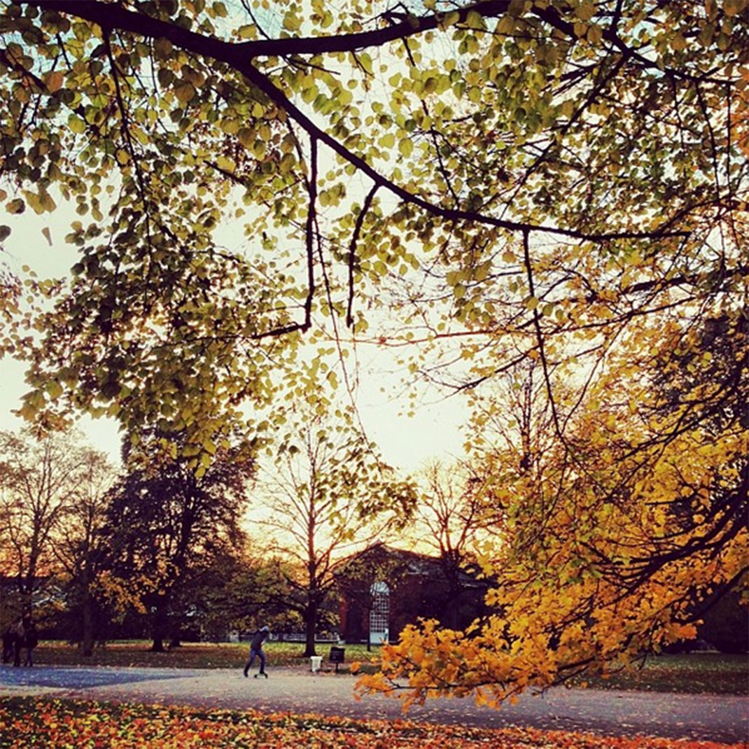 8-automne-londres