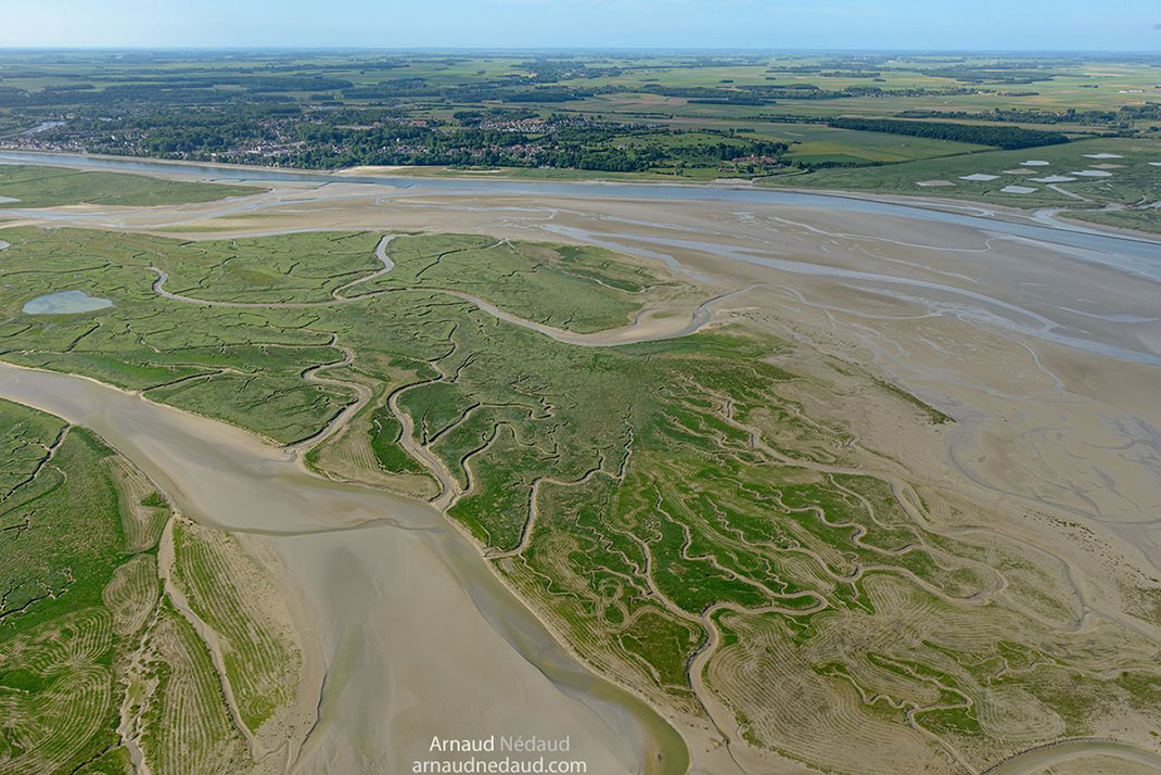 Baie-de-Somme-20