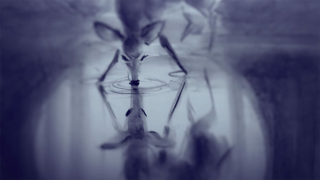 Capture-d’écran-2015-10-01-à-11.25.11