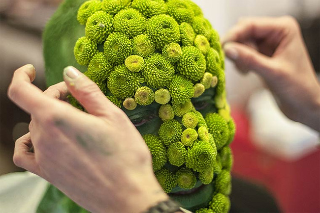 monsieur-plante-art-14