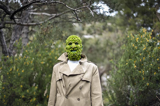 monsieur-plante-art-15