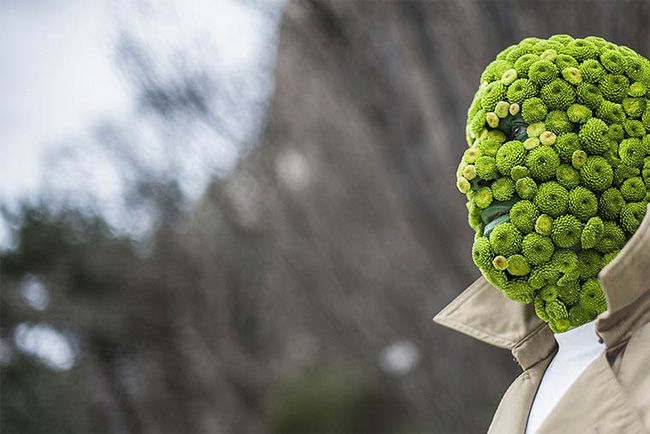 monsieur-plante-art-16