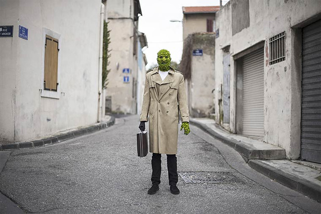 monsieur-plante-art-17