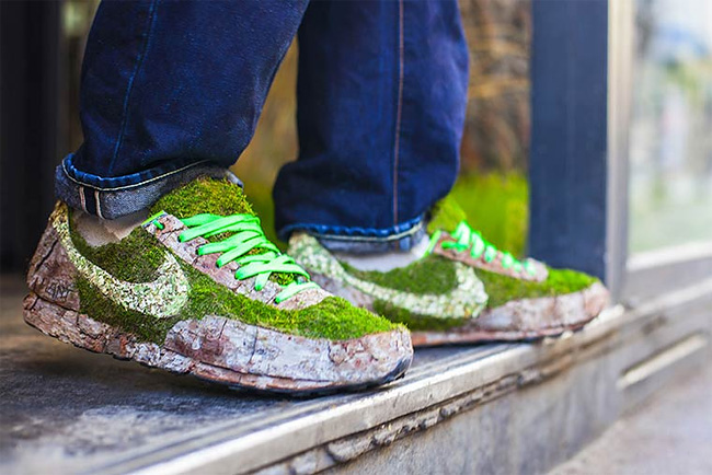 monsieur-plante-art-18