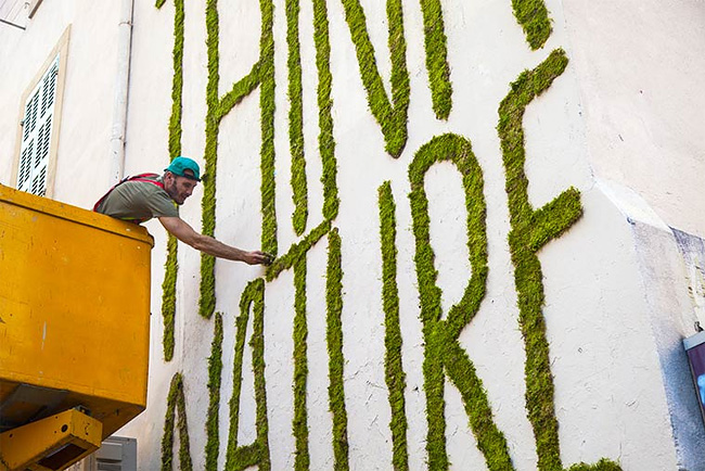 monsieur-plante-art-2