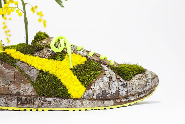 monsieur-plante-art-20