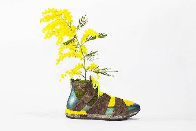 monsieur-plante-art-21