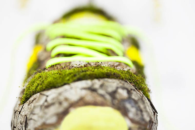 monsieur-plante-art-22