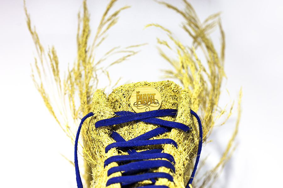 monsieur-plante-art-26