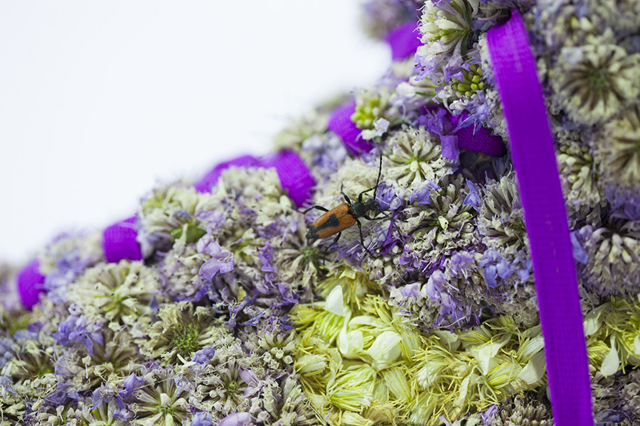 monsieur-plante-art-27