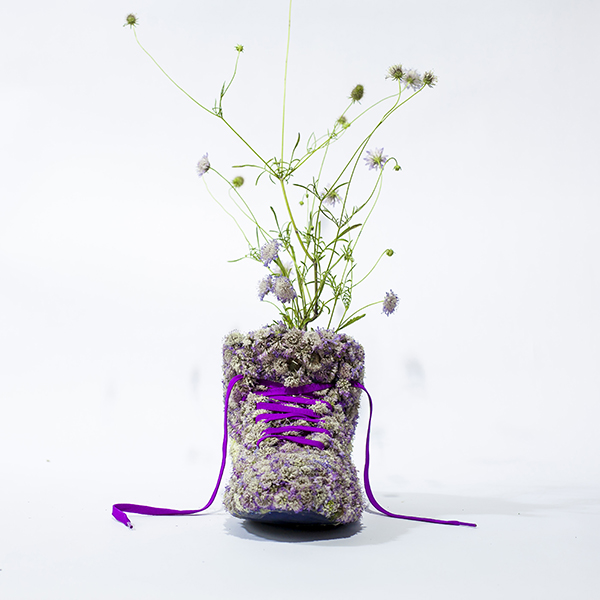 monsieur-plante-art-28