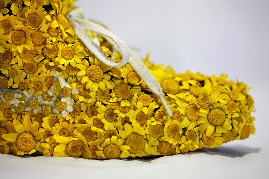 monsieur-plante-art-32