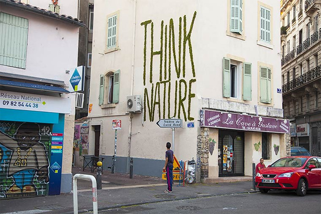 monsieur-plante-art-4