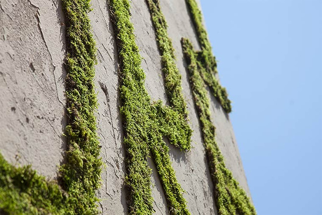 monsieur-plante-art-5