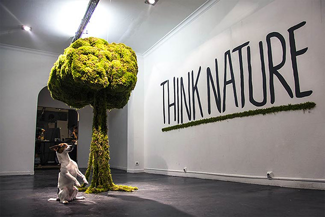 monsieur-plante-art-6