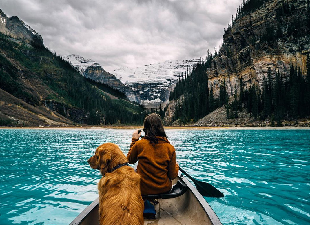 02-chienvadrouille-hunter_lawrence