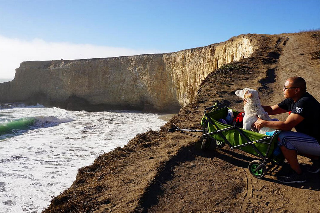 02-voyagechien-pohthedogsbigadventure