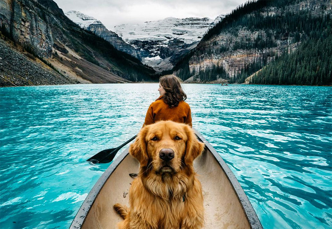 03-chienvadrouille-hunter_lawrence