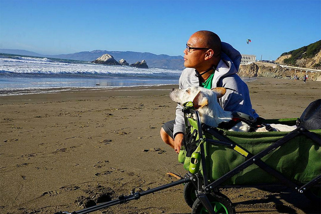 03-voyagechien-pohthedogsbigadventure