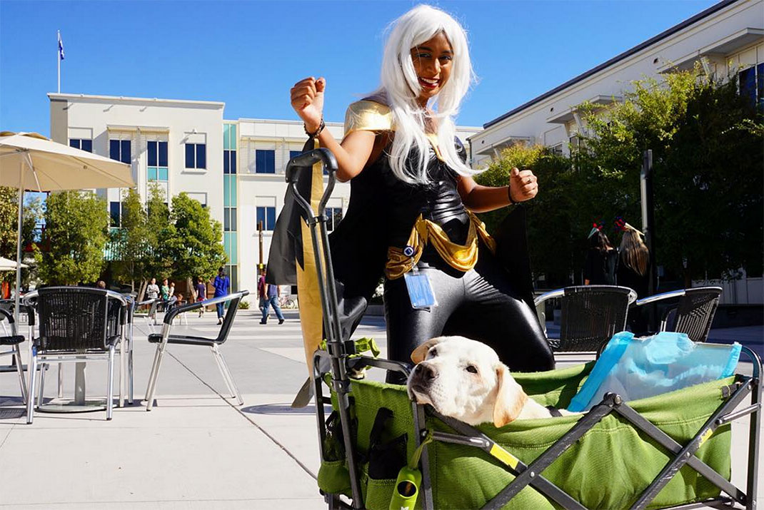 04-voyagechien-pohthedogsbigadventure