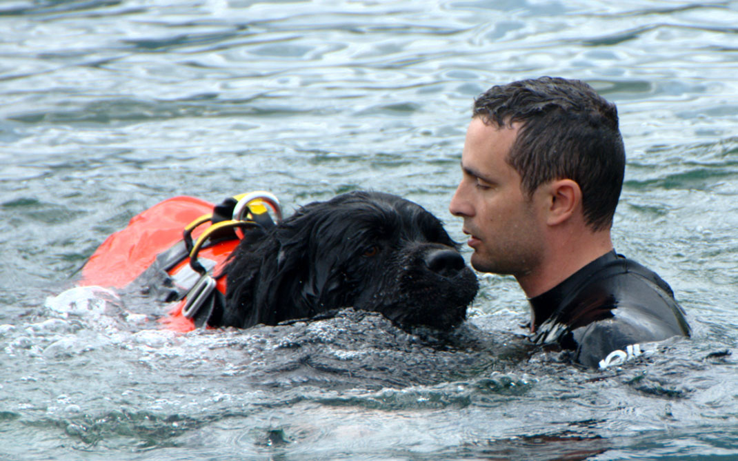 05-chiensauveteur-NiccoloCaranti