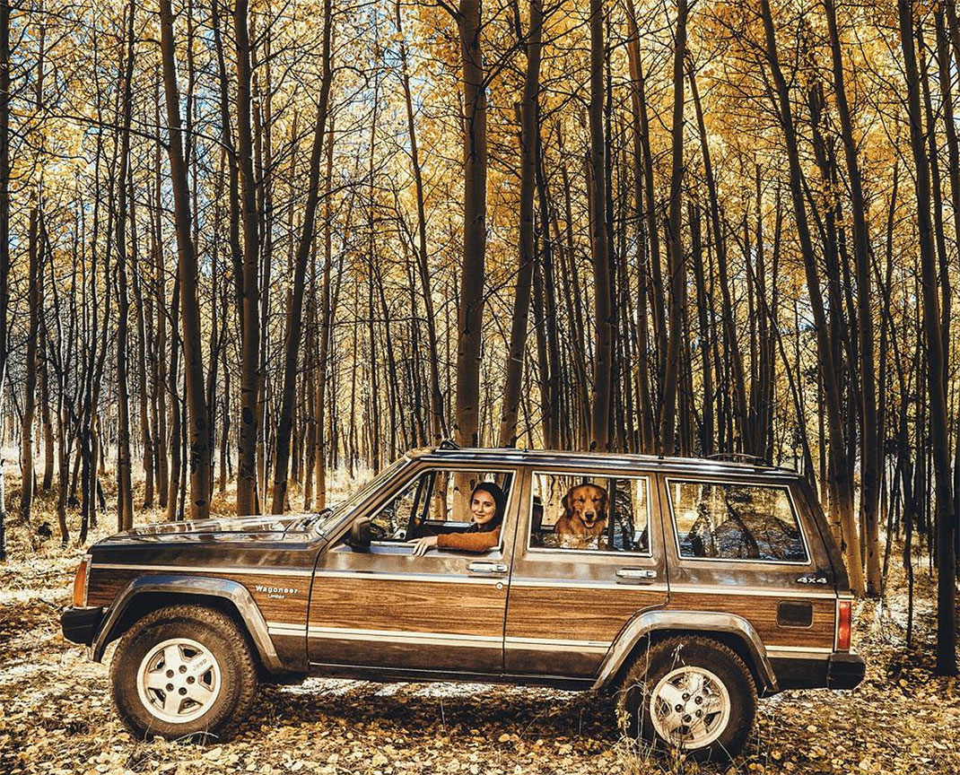 05-chienvadrouille-hunter_lawrence