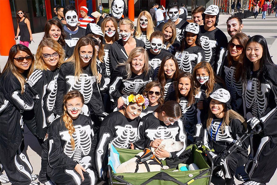 05-voyagechien-pohthedogsbigadventure