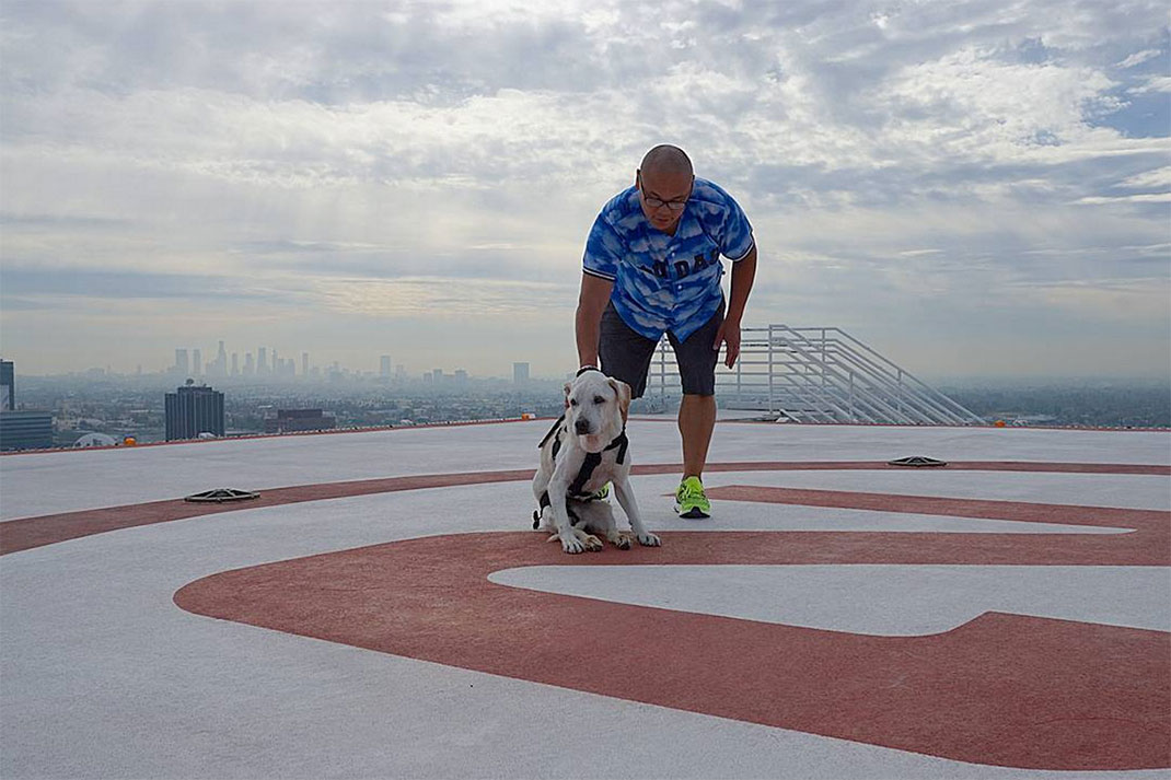 06-voyagechien-pohthedogsbigadventure