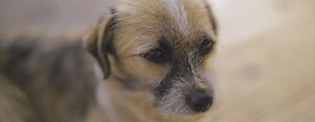 09-Fotogramas-ErickFloresGarnelo