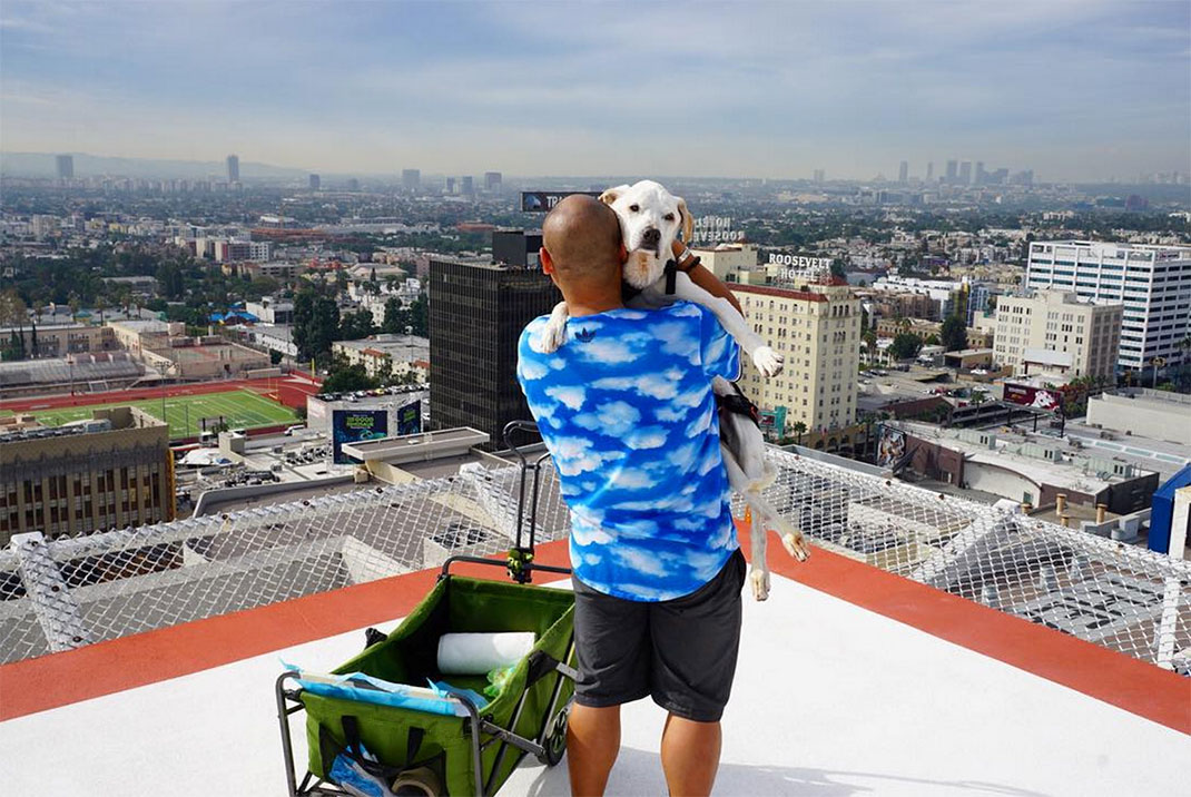 10-voyagechien-pohthedogsbigadventure