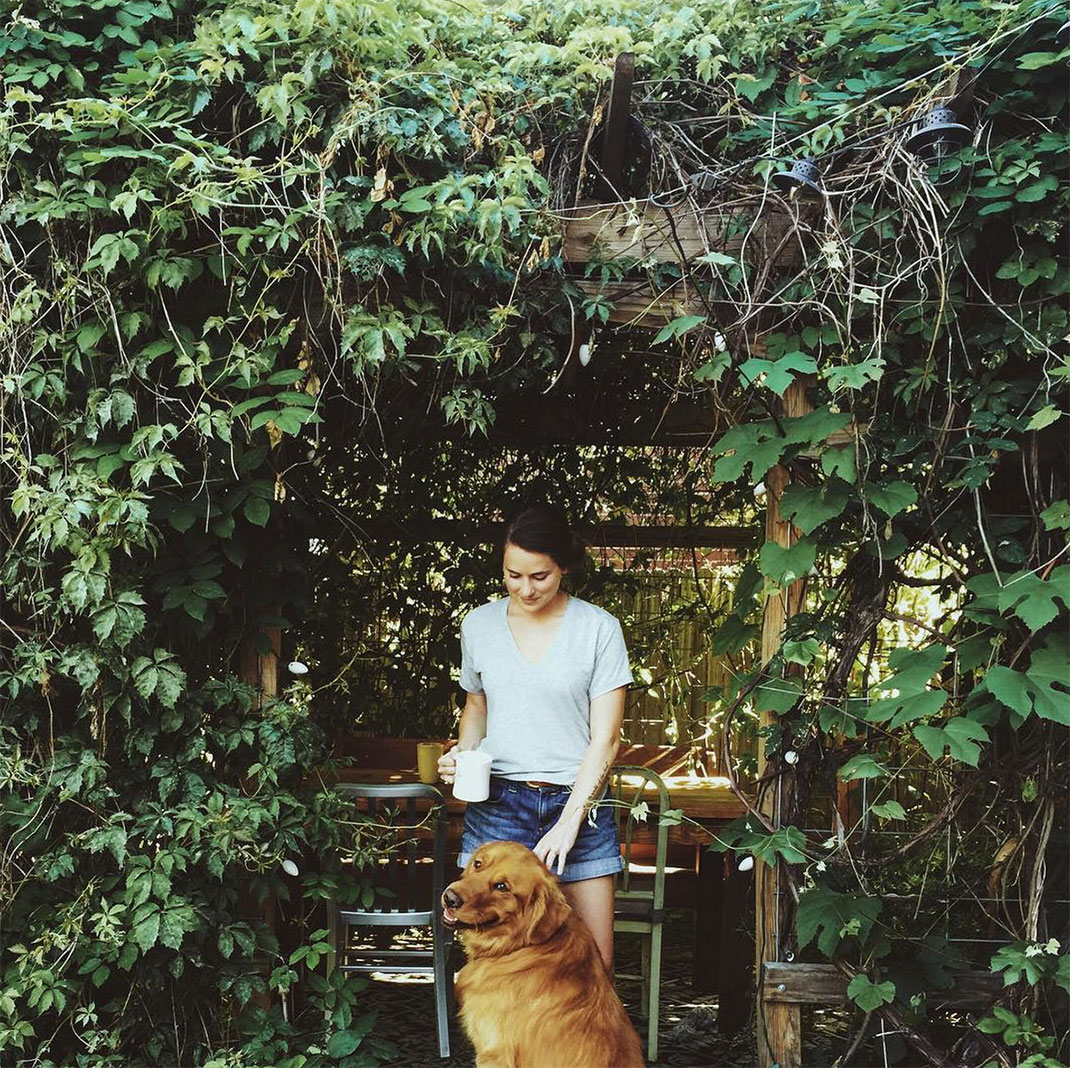 13-chienvadrouille-hunter_lawrence