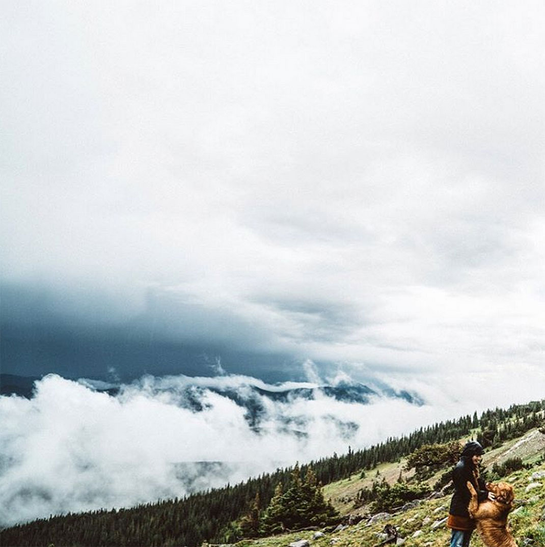 14-chienvadrouille-hunter_lawrence