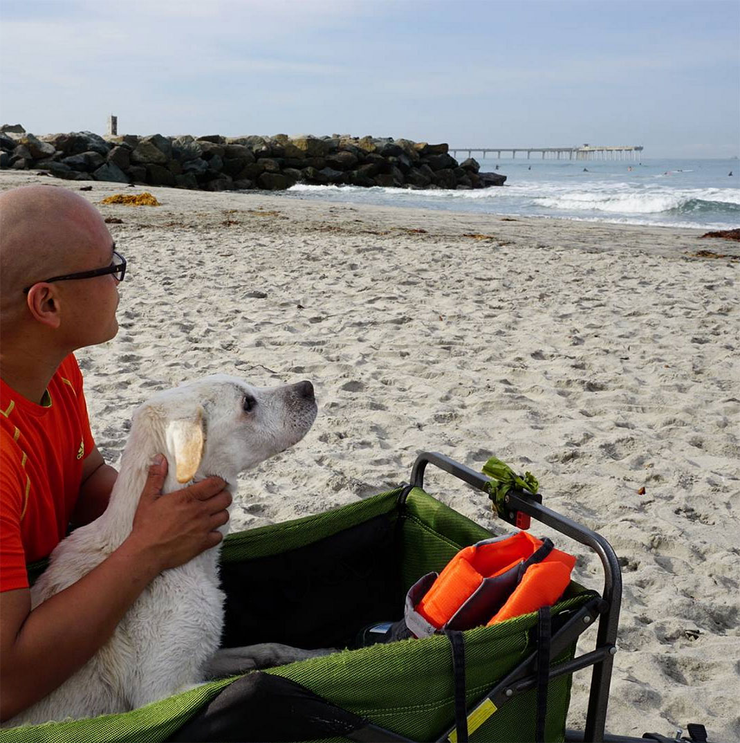 14-voyagechien-pohthedogsbigadventure