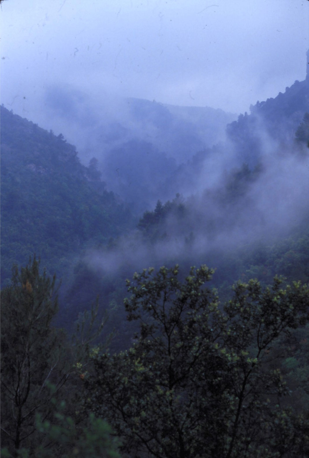 17-gorgeduverdon-JaniceWaltzer