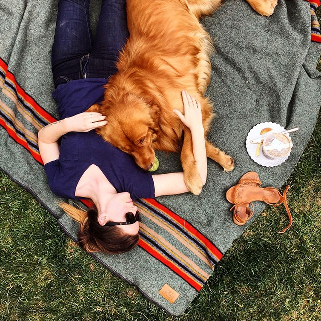 18-chienvadrouille-hunter_lawrence