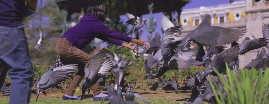 20-Fotogramas-ErickFloresGarnelo