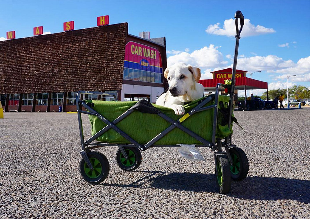 22-voyagechien-pohthedogsbigadventure